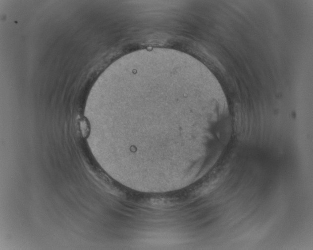 X0000078300641200612011835