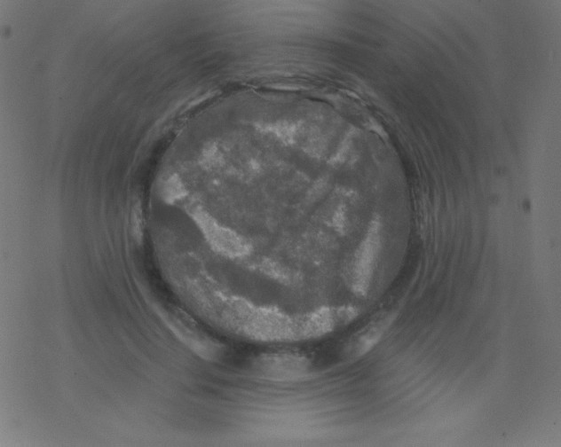 X0000078300644200612011835