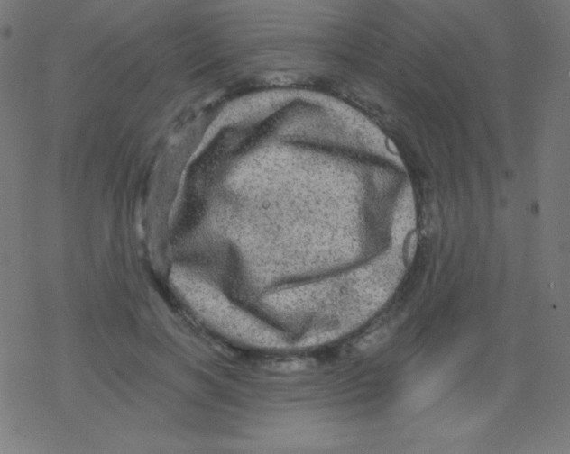 X0000078300646200612011836