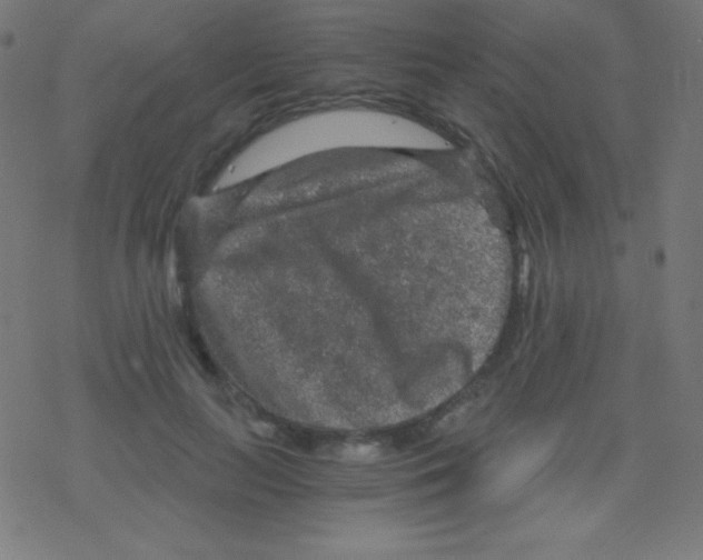 X0000078300647200612011836