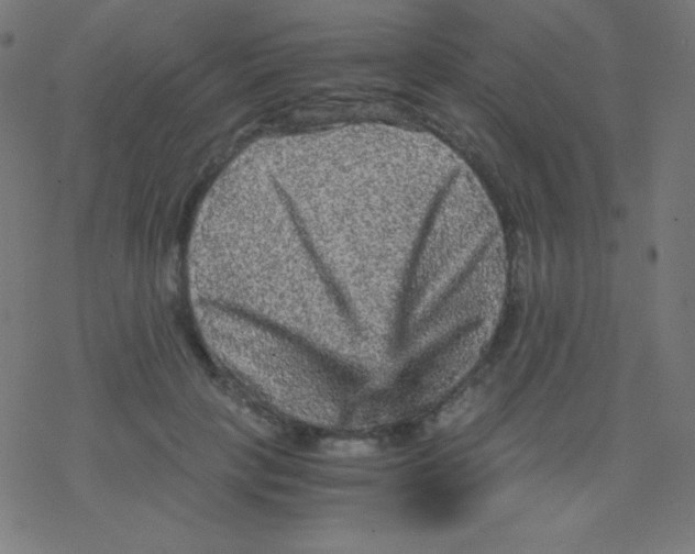 X0000078300649200612011836