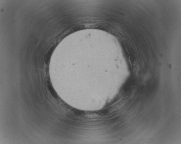 X0000078300650200612011836