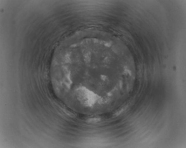 X0000078300653200612011836