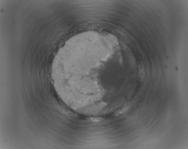 X0000078300654200612011836