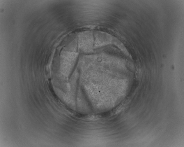 X0000078300656200612011836