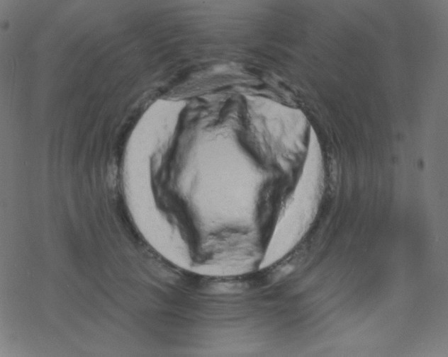 X0000078300657200612011836