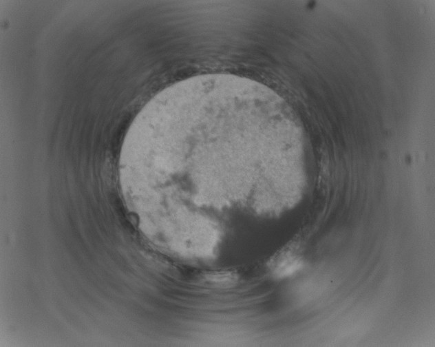 X0000078300659200612011836