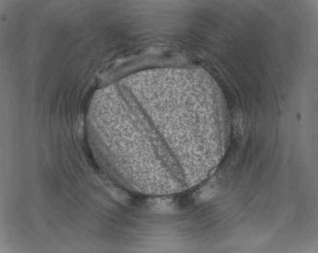 X0000078300660200612011836