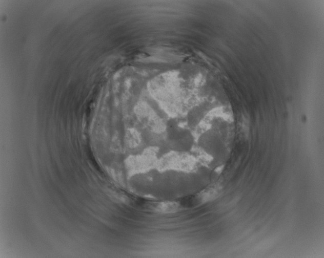 X0000078300663200612011836