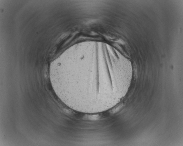 X0000078300665200612011836