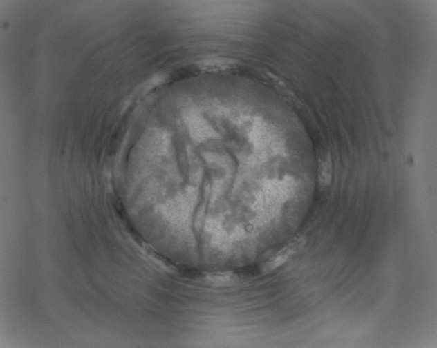 X0000078300666200612011836