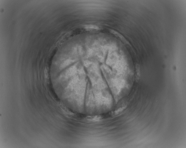 X0000078300667200612011836