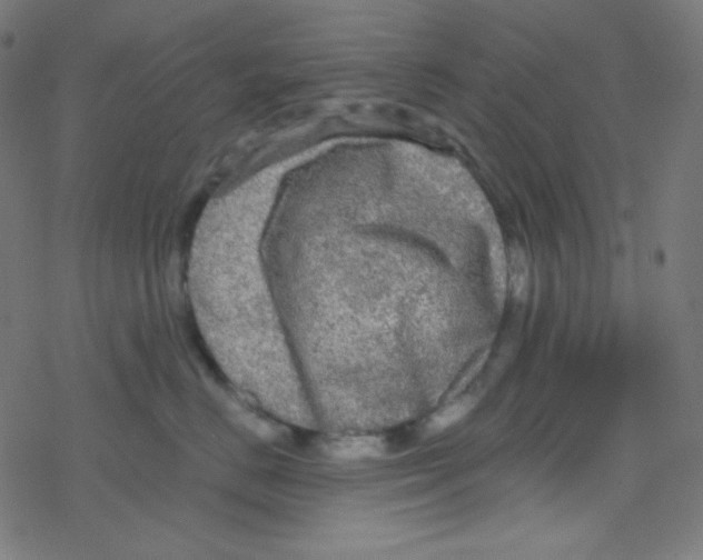 X0000078300670200612011836