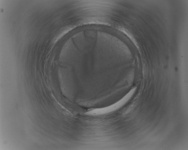 X0000078300673200612011835