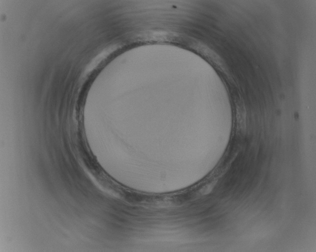 X0000078300674200612011835