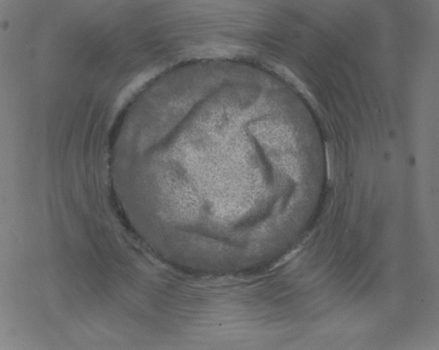 X0000078300675200612011835