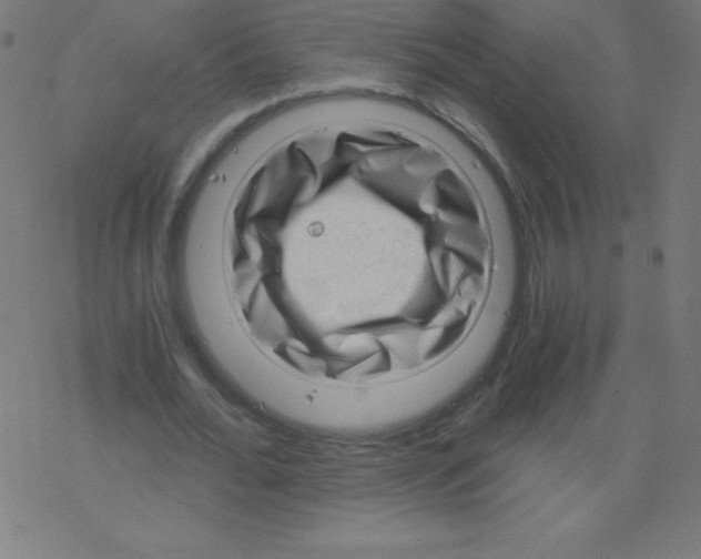 X0000078300676200612011835