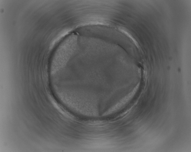 X0000078300677200612011835