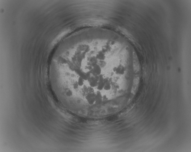 X0000078300679200612011835