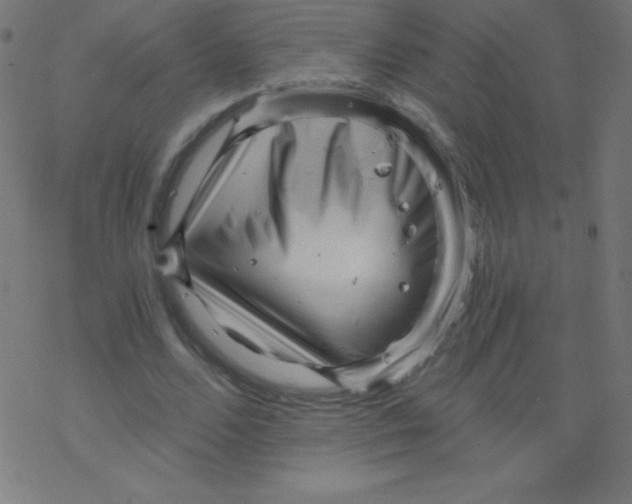 X0000078300680200612011835