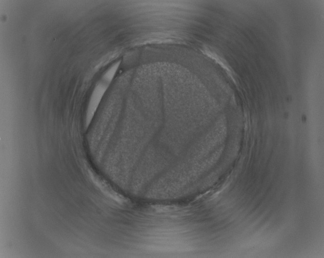 X0000078300681200612011835