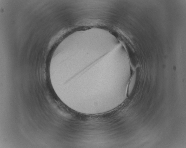 X0000078300682200612011835