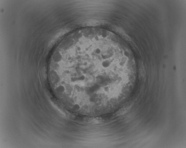 X0000078300683200612011835