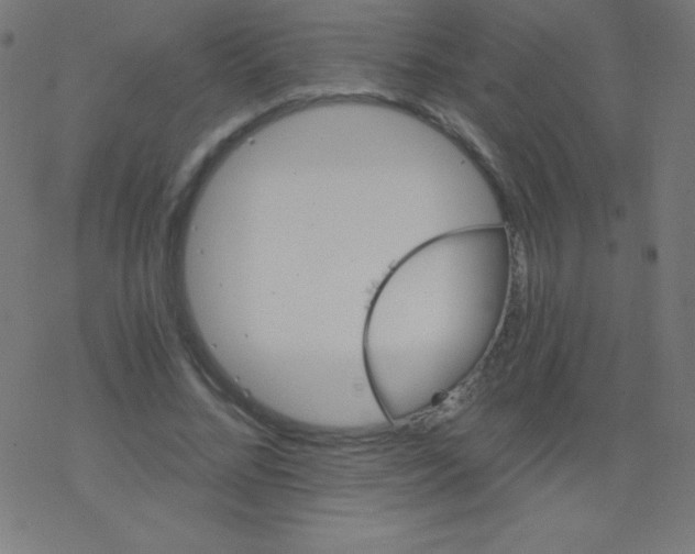 X0000078300684200612011835