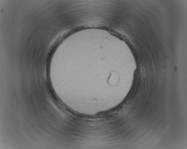 X0000078300686200612011835