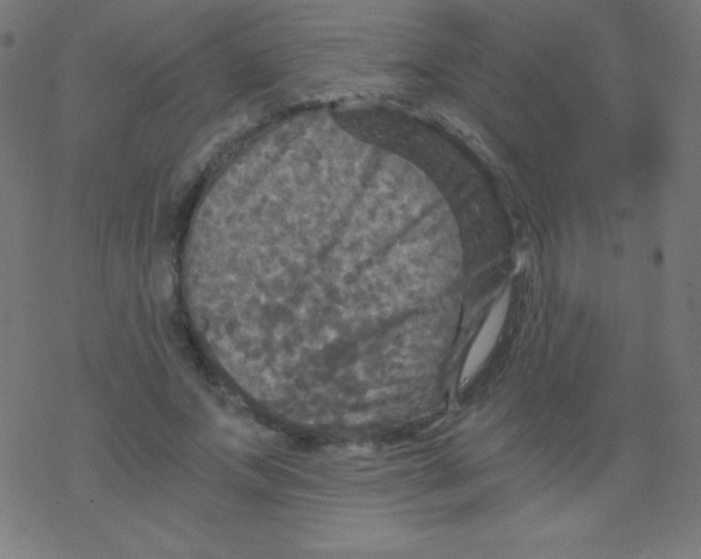 X0000078300687200612011835