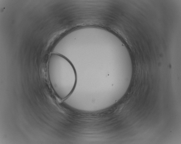 X0000078300688200612011835