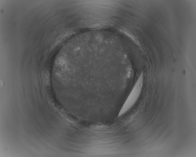 X0000078300689200612011835