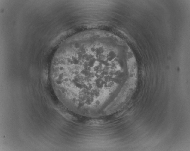 X0000078300691200612011835