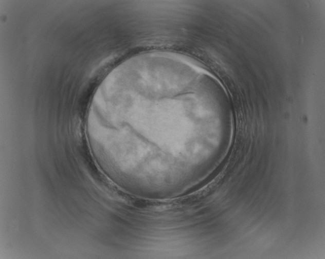 X0000078300692200612011835