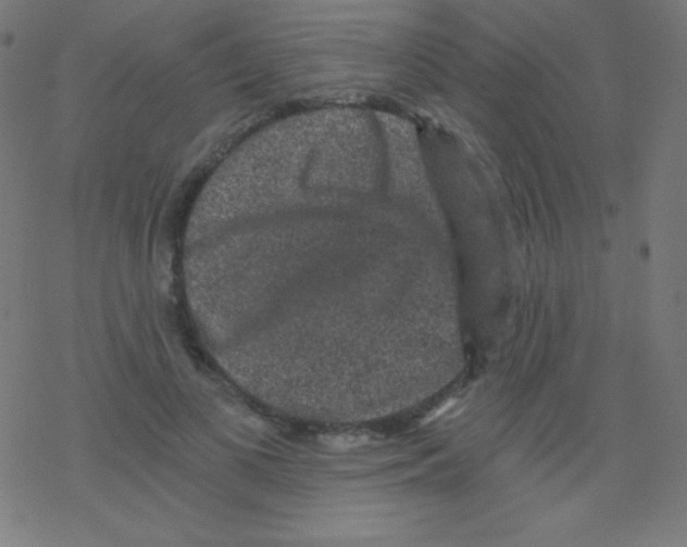 X0000078300693200612011835