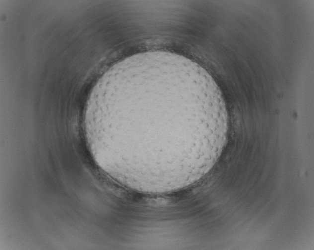 X0000078300698200612011835