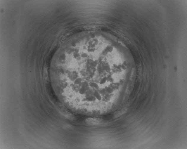 X0000078300699200612011835