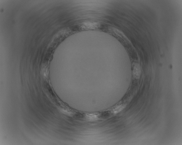 X0000078300701200612011835