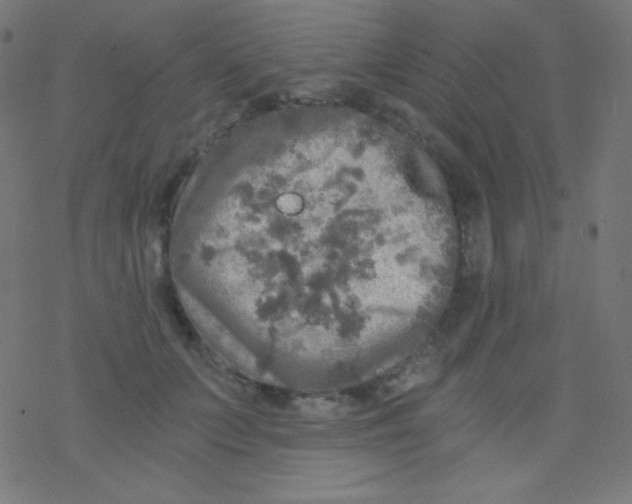 X0000078300703200612011835