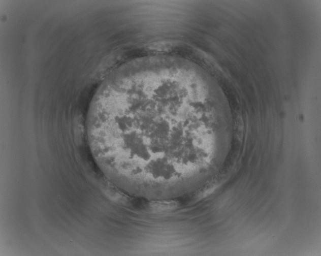 X0000078300707200612011835