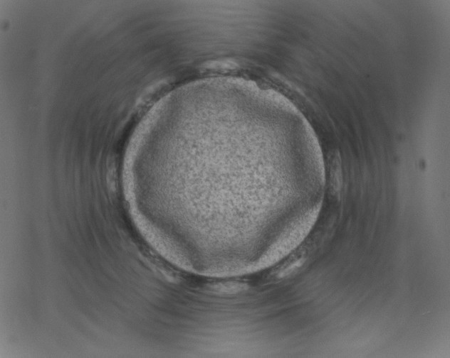 X0000078300708200612011835