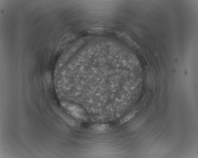 X0000078300711200612011835