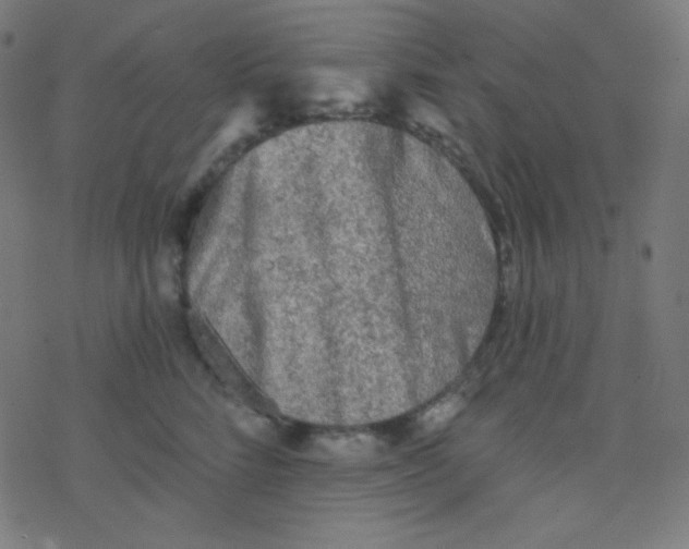 X0000078300712200612011835