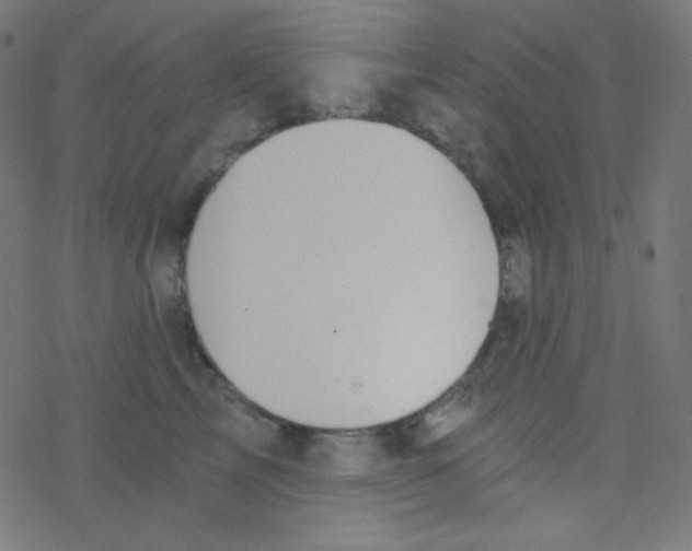 X0000078300713200612011835