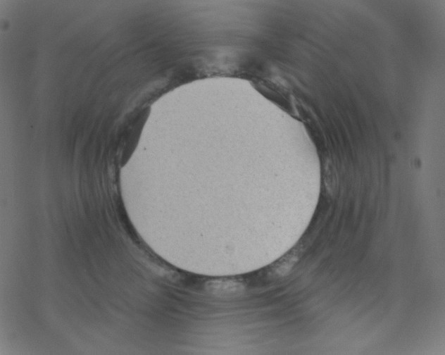 X0000078300714200612011835