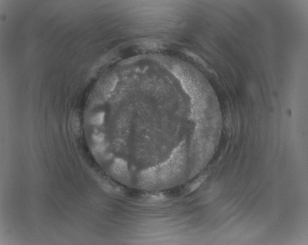 X0000078300715200612011834