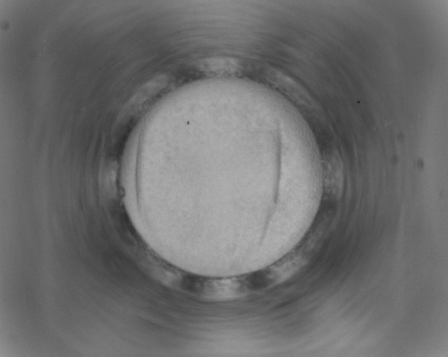 X0000078300717200612011834