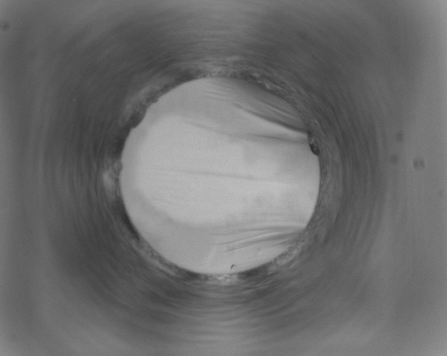 X0000078300720200612011834