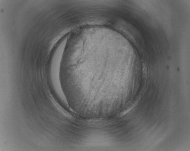 X0000078300725200612011834