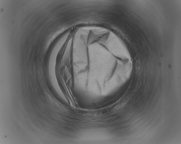 X0000078300727200612011834